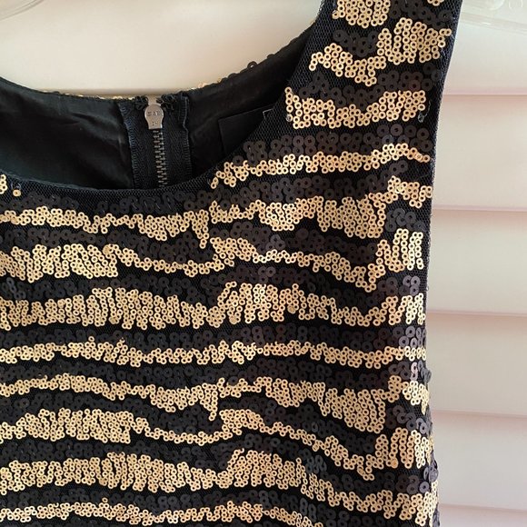 Striped Sequin Dress - Picture 5 of 7